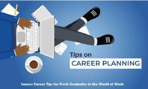 Success Career Tips for Fresh Graduates in the World of Work